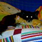 Con Kafú, uno de los gatitos a los que adoptó de bebés