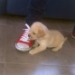ya empezamos con los zapatos!!!!