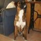 
pidiendo comida (9 meses)