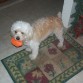 Jugando con su pelota.....