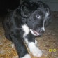 Joo!!! Que lindo!!! Tan chiquito! Una foto que encontre traspapelada por ahi, con casi 2 meses de edad :3