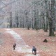 Paseo matinal con los dobis por la sierra de Urbasa (Navarra)