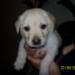 Hermosaaaaa