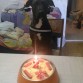 cumpleaños de Shira con su tarta y todo 2 Añitos ya que rápido han pasado aun me acuerdo cuando llegaste tan pequeñita eras un peluchito gruñón jajajaja y desde que llegaste mi vida a cambiado a mejor gracias a ti ya no tengo apenas ansiedad y me siento mejor me as aportado tantas cosas buenas enana, gracias por existir y hacerme feliz y compañia con una sola mirada me lo dices todo y me haces sentir muy bien en esos momentos dificiles y que seas como seas siempre te quedre eres muy importante para mi, Felicidades enana y espero que cumplas muchos mas a mi lado siempre estaré para ti enana grande. Te quiero. 