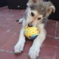 3 meses y poco recien llegado a casa