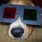 jajaja disfrutando un poco el 3D en mi ksa 