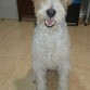 es lo mas guapo que tengo