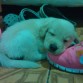 1 mes