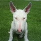3 Meses