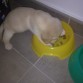 hay esta el tio comiendo!!!