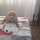 amb el seu peluchin...
