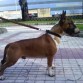 tayson con 14 meses pendiente de algo ajjaja