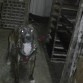 es una perrita que le gustan los niño