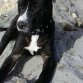 Mi primer dia de playa. Observando el infinito del mar.