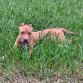 Titan a sus 3 meses