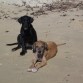 Rhocco y Su hermana karina en la Playa