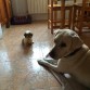 Con su hermana mayor Chula