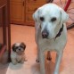 Me las como a las dos !