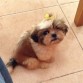 Mi primer moñito