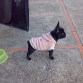 POSANDO