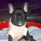 PA QUE ME VEAN BIEN GUAPO !!!!!