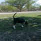 En busca de lo desconocido