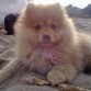 Su primer contacto con la playaa
