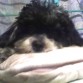en su almohada