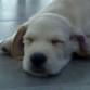 como duerme el colega!!! y ronca!!!