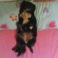 Su buena siesta a sus anchas,es mi niña mi cuca mi tierna samdynilla