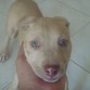 danger 2 meses