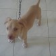 danger 2 meses