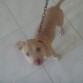 danger 2 meses