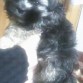 Amor de mamáá, cuando tenía 2 meses :)