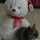  Con el peluche Valentín, jajaja