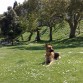sam en un momento de relax