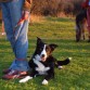 En el 2008, antes del entrenamiento en Tandil, para participar luego en el Agility Santa Fe, especial del día de la madre, en Santa Fe, Rosario, Argentina.