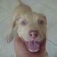 danger 2 meses