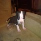 1 mes y medio