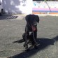 Ahora ya tiene 5 meses y pesa 20 Kg