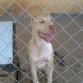 5 meses