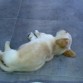 como me gusta dormir
