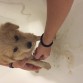 Primer baño