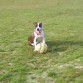 Dara con su pelota de futbol