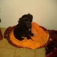 mi camita