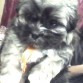 Mi pequeñín ♥