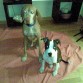 ares 4meses y bingo