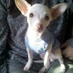pancho estrenando ropa