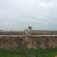 Explorando las ruinas de la Cañada Real.