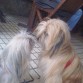 Con su amigo Trasto